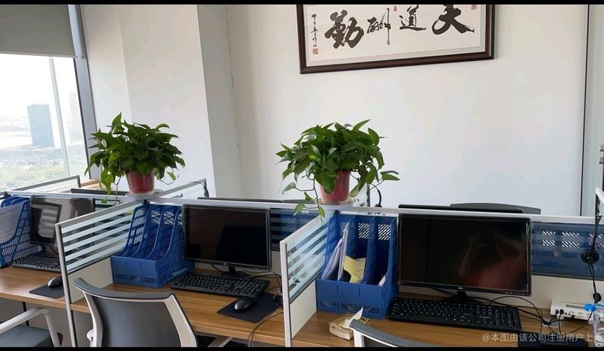 经营范围中许可项目的理解与合规要点 住宿服务与在线数据处理及交易处理业务